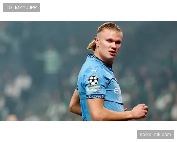 哈兰德禁区统治