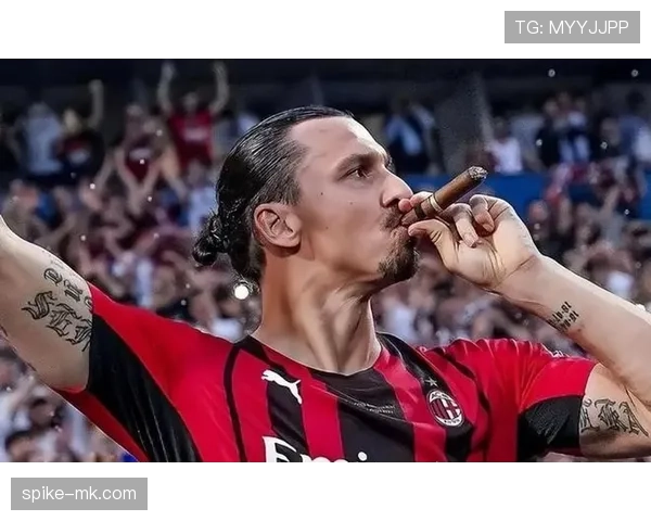 伊布拉希莫维奇最新情况：退役后动向与未来计划